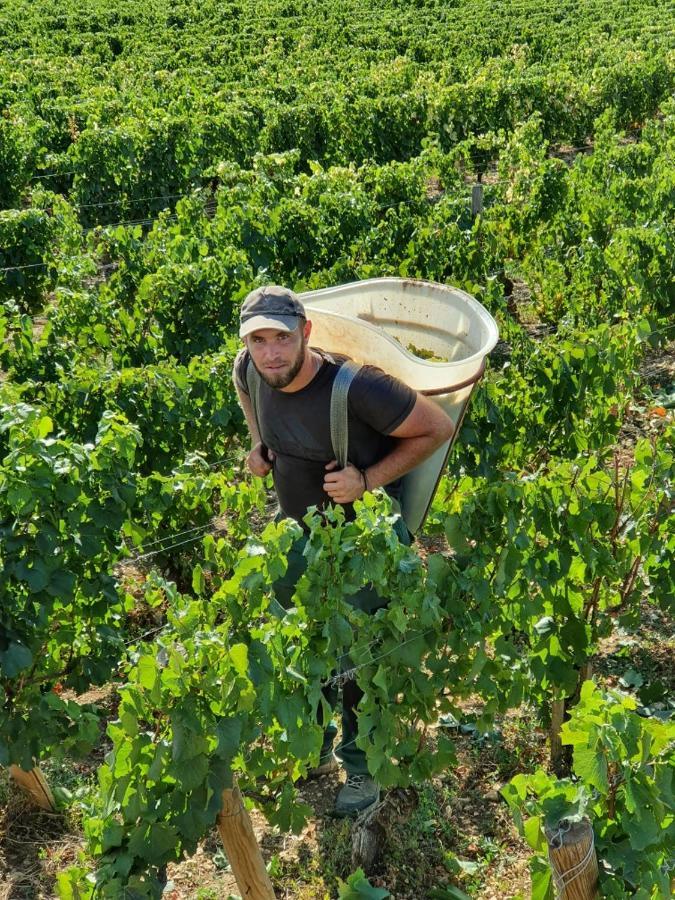 La Fruitiere Daire Chaudenay Dış mekan fotoğraf