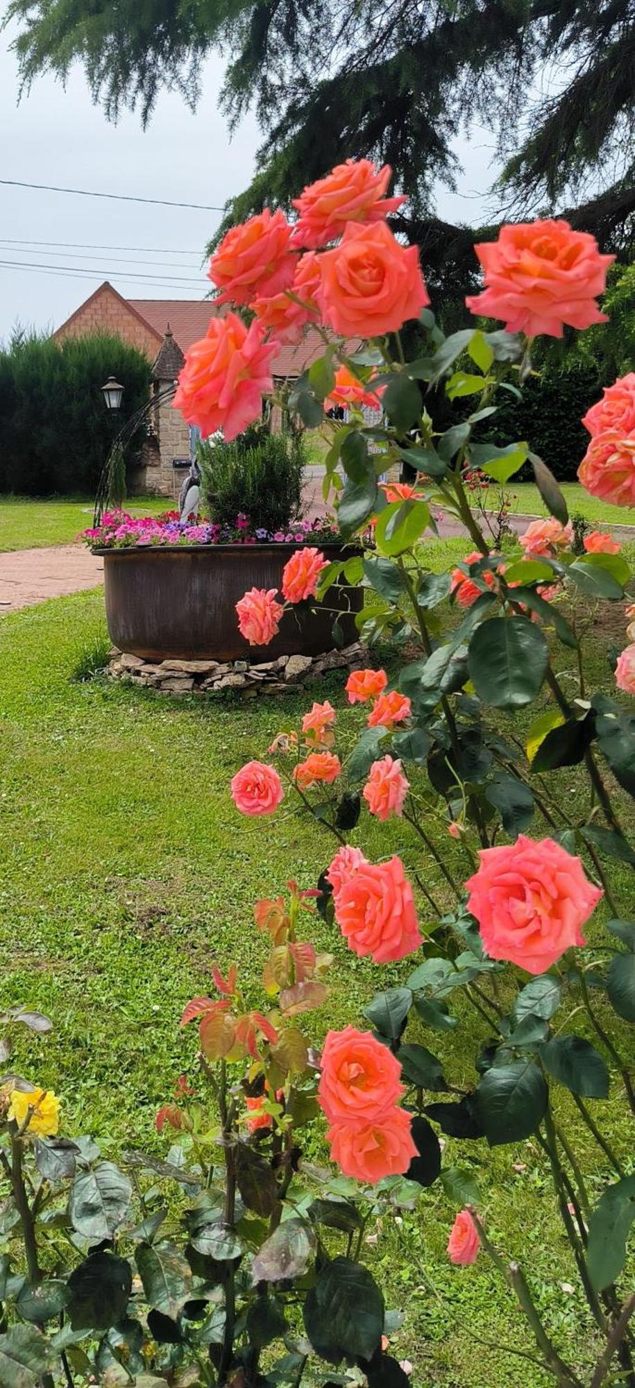 La Fruitiere Daire Chaudenay Dış mekan fotoğraf