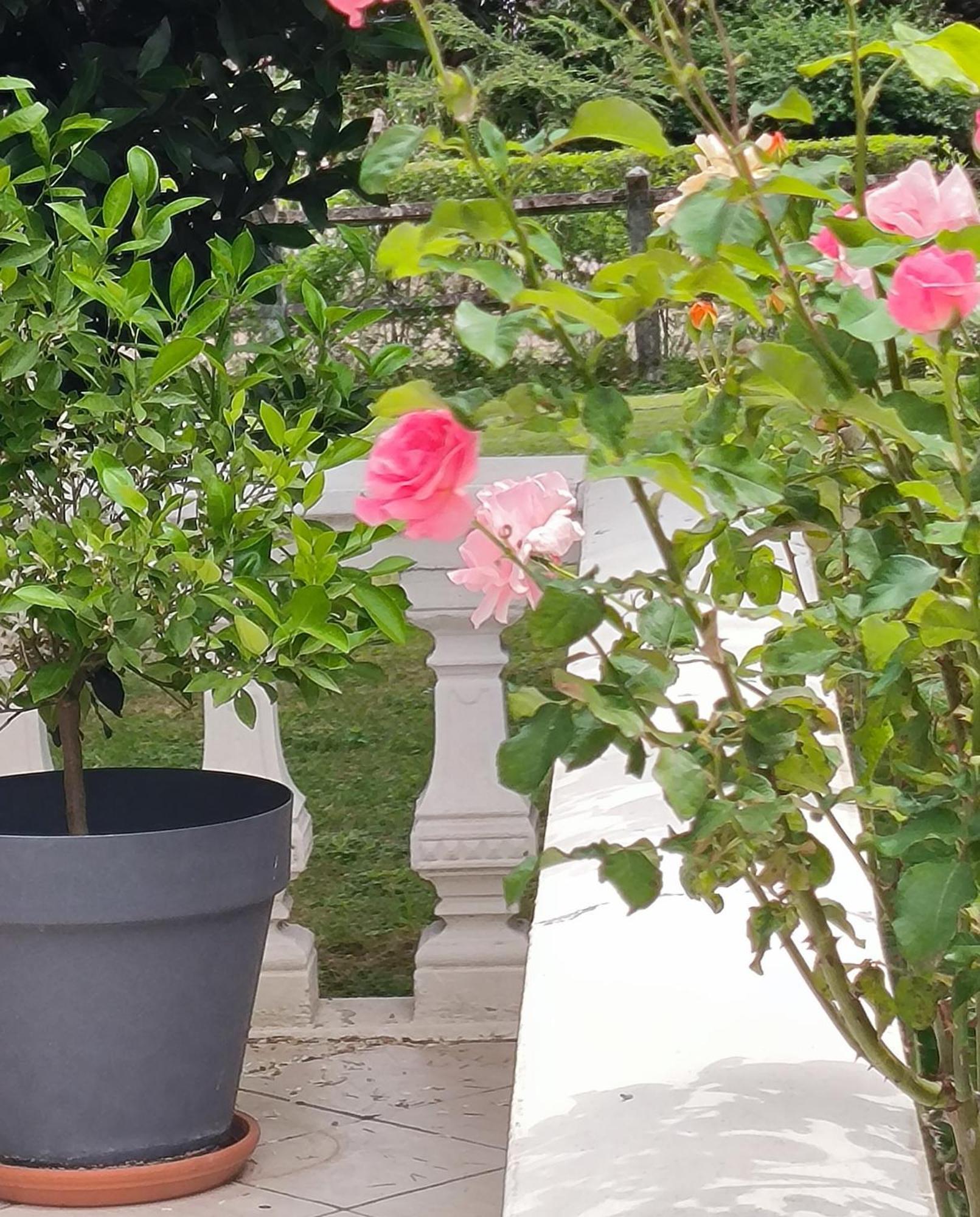La Fruitiere Daire Chaudenay Dış mekan fotoğraf
