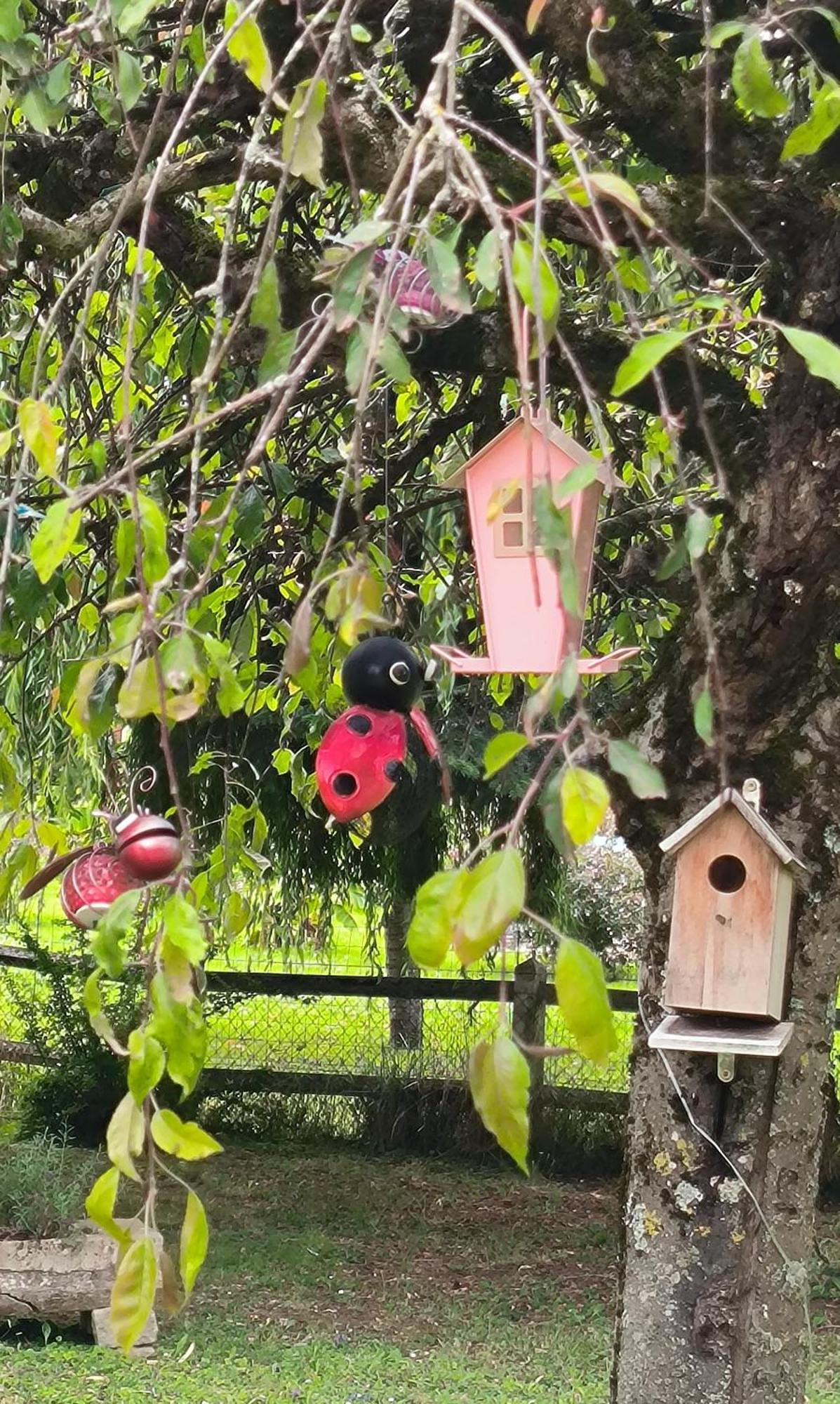 La Fruitiere Daire Chaudenay Dış mekan fotoğraf
