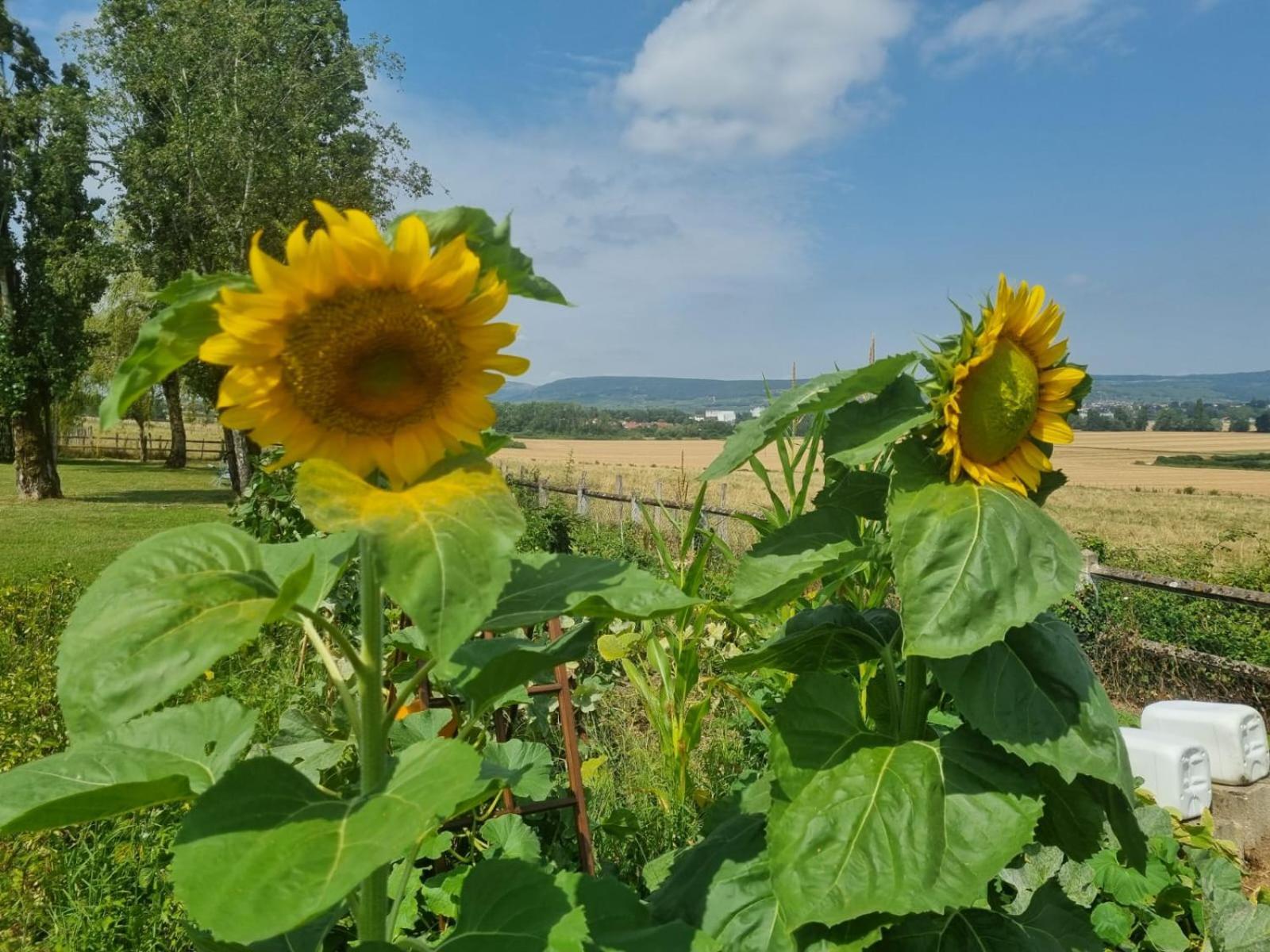La Fruitiere Daire Chaudenay Dış mekan fotoğraf